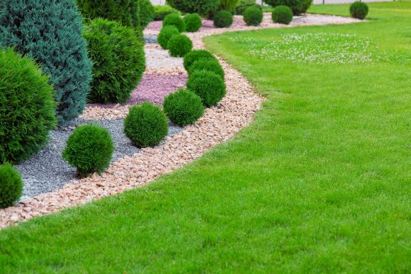 Edging Stones Installation