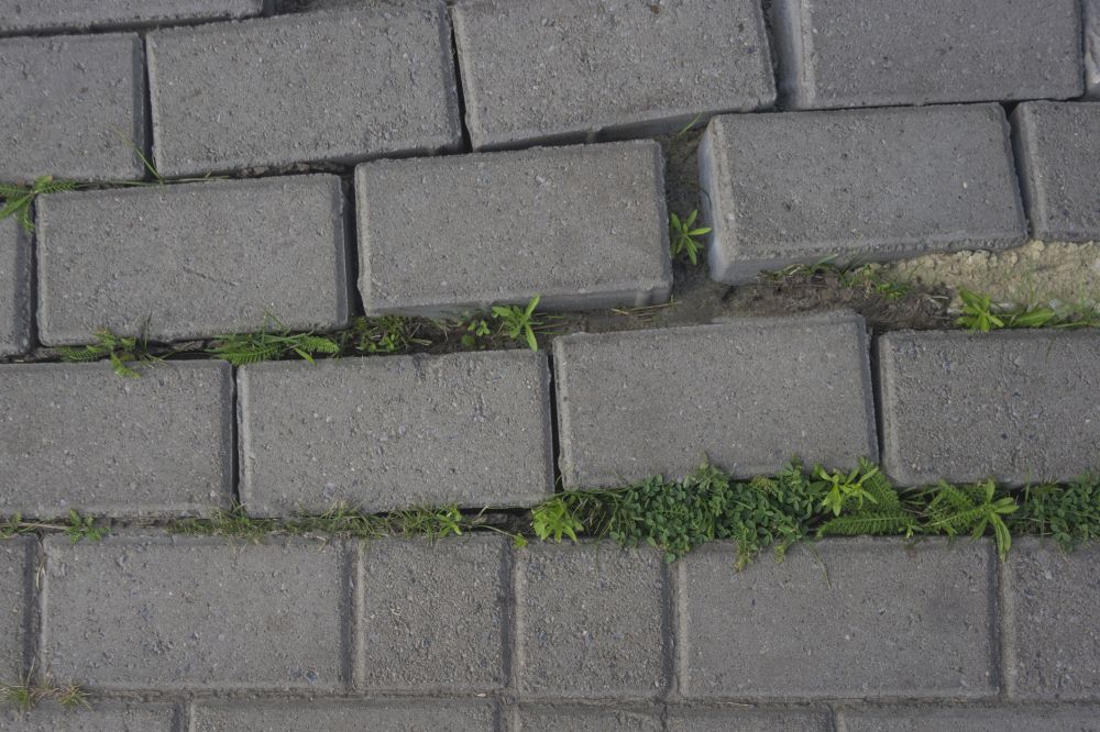 Brick Pavers Repair